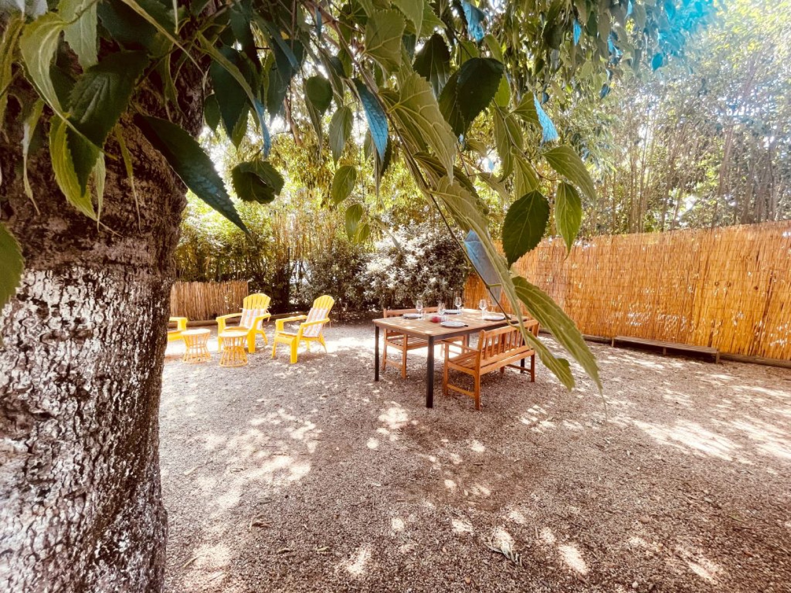 Le Patio, photo 8